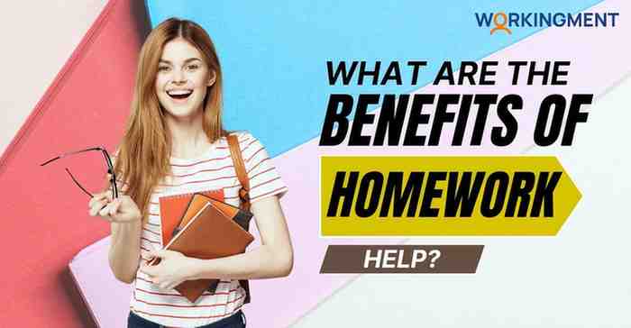 What are the Benefits of Homework Help