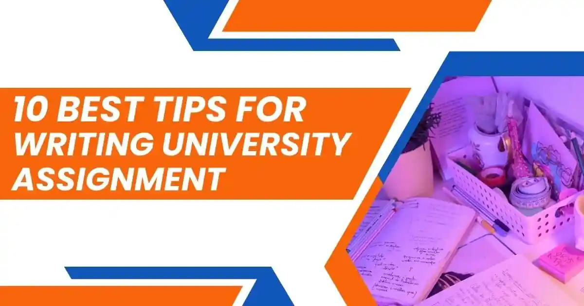 10 Best Tips for Writing University Assignments