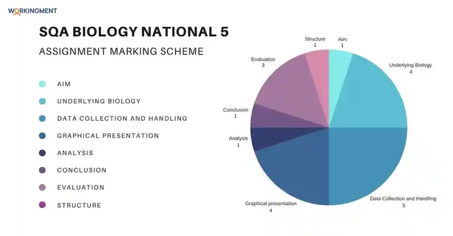 SQA Biology National 5 Assignment Marking Scheme SQA Biology National 5 Assignment Marking Scheme