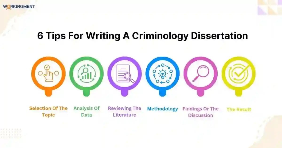 6 Tips For Writing A Criminology Dissertation 