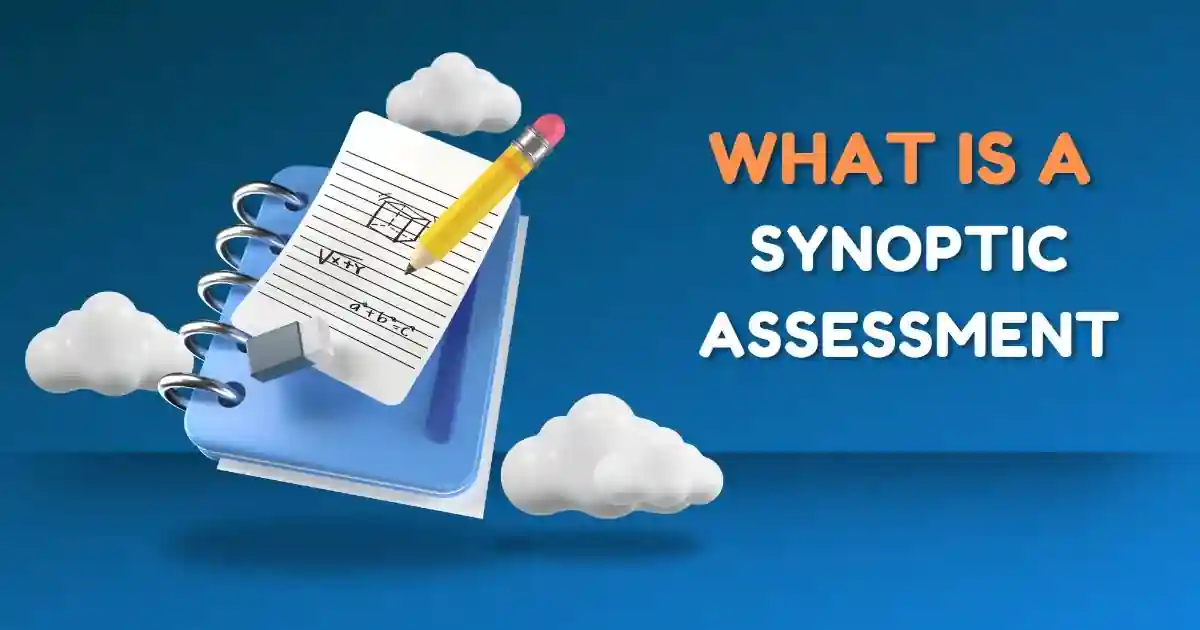 What is a Synoptic Assessment
