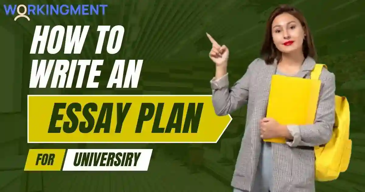 How to Write an Essay Plan for university