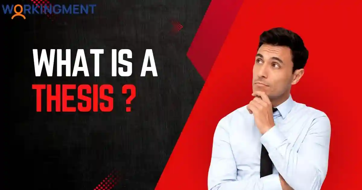 What Is A Thesis Writing What Is A Thesis Writing