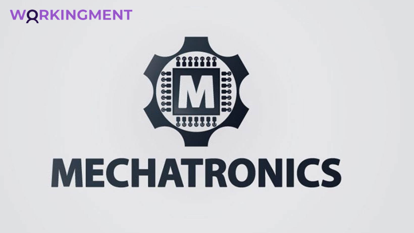 Mechatronics Engineering Assignment 