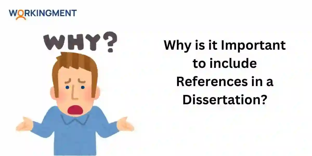 Why is it Important to include References in a Dissertation