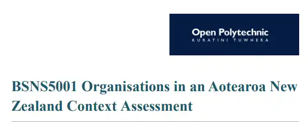 BSNS5001 Assessment: Organisations in an Aotearoa New Zealand Context