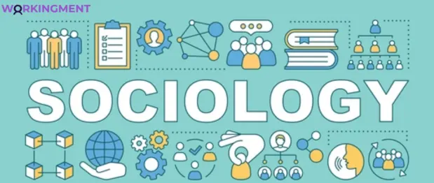 Sociology Assignment Help UK